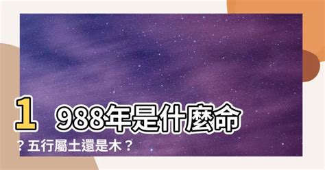 1988木龍|【1988年屬龍五行屬什麼的】1988年 